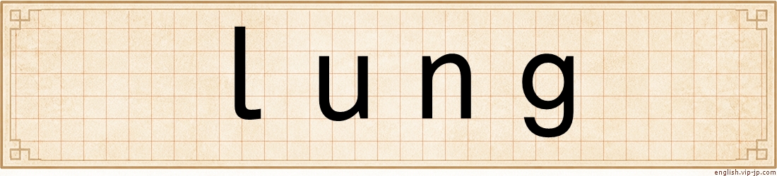 lung