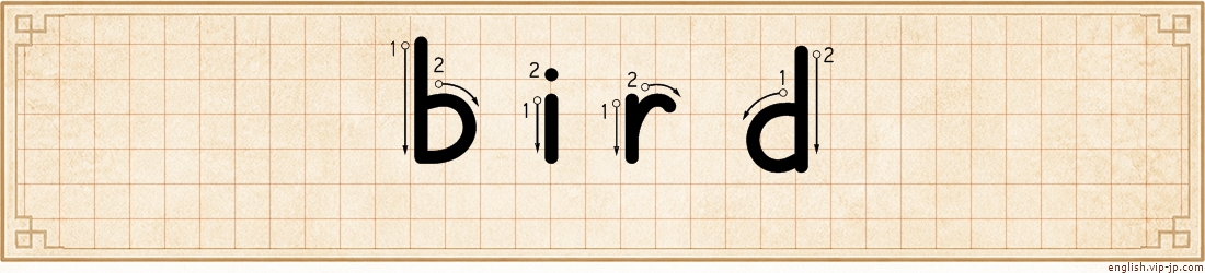 bird lettering