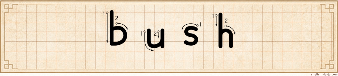 bush lettering