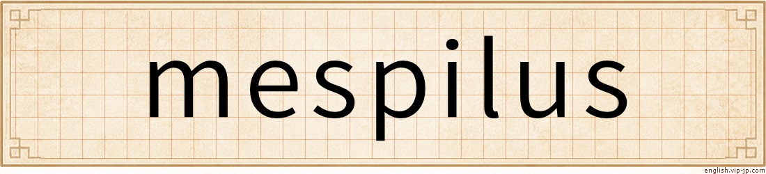 mespilus