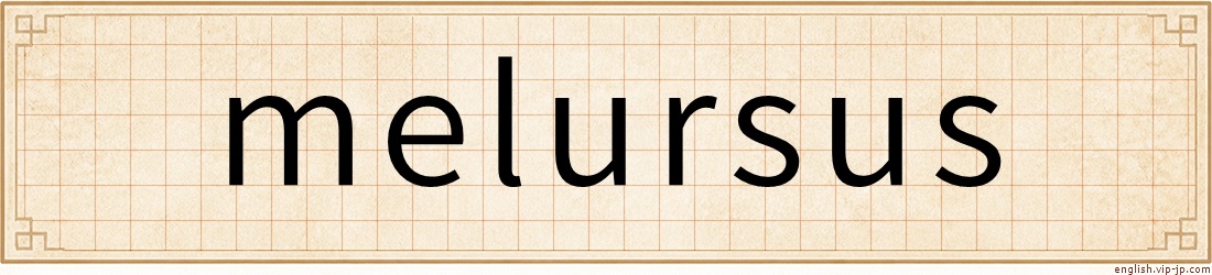 melursus