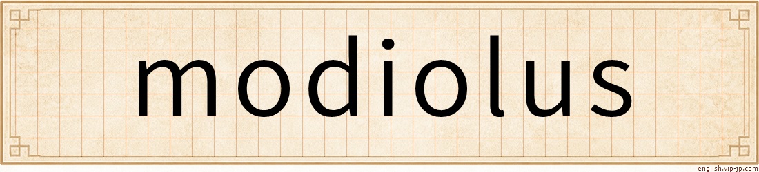 modiolus