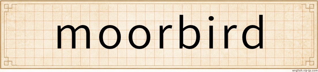 moorbird