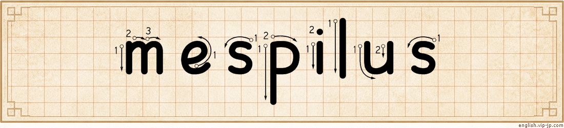mespilus lettering