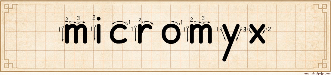 micromyx lettering