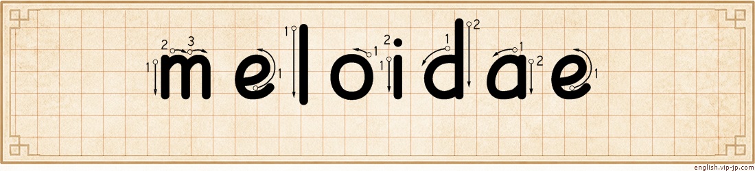 meloidae lettering