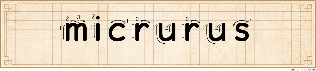 micrurus lettering