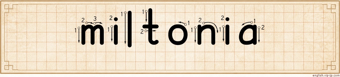 miltonia lettering