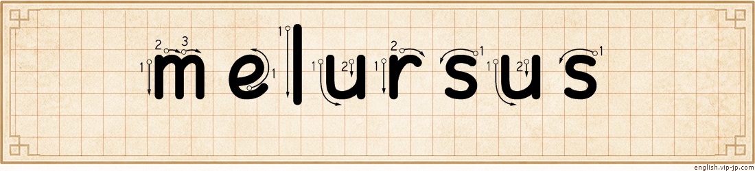 melursus lettering
