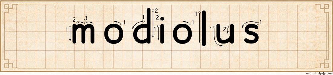 modiolus lettering