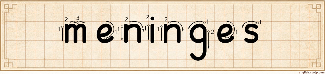 meninges lettering