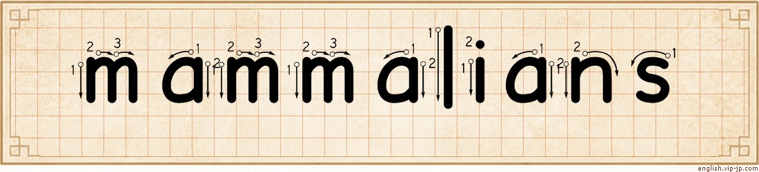 mammalians lettering