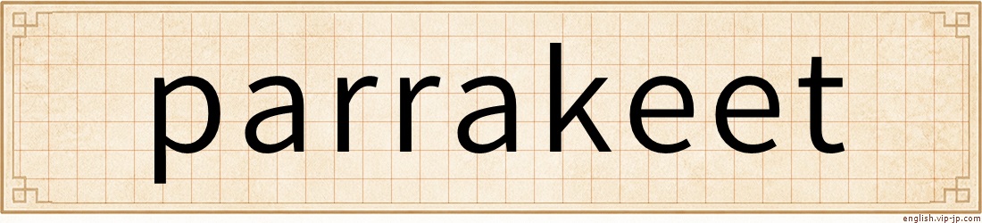 parrakeet