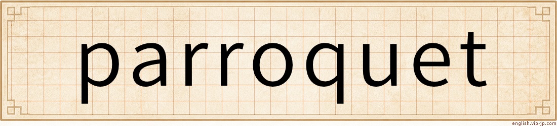 parroquet
