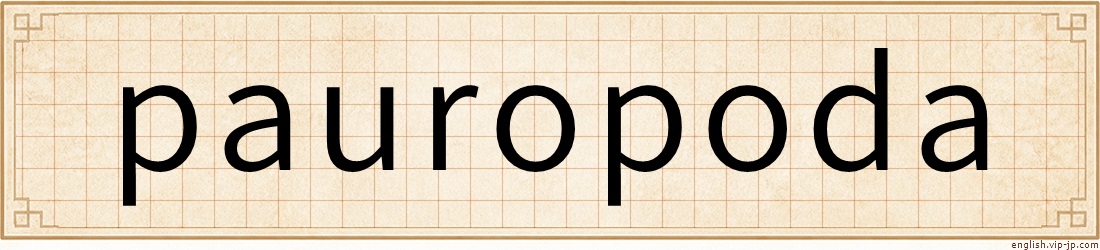 pauropoda