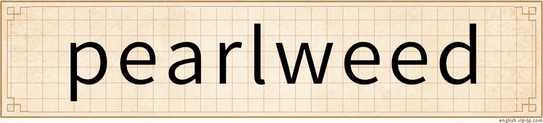 pearlweed