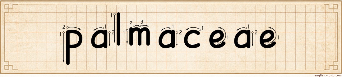 palmaceae lettering