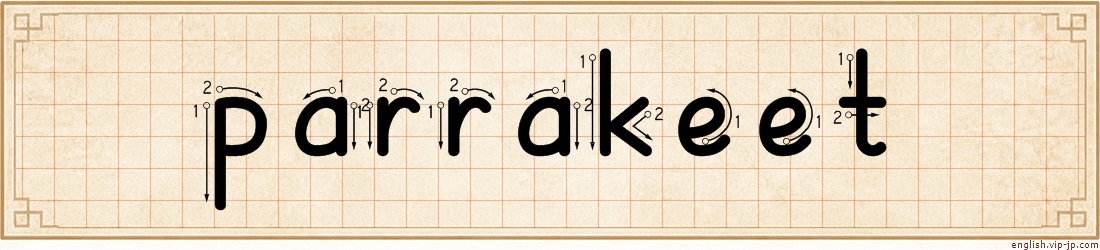 parrakeet lettering