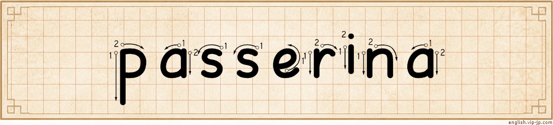 passerina lettering