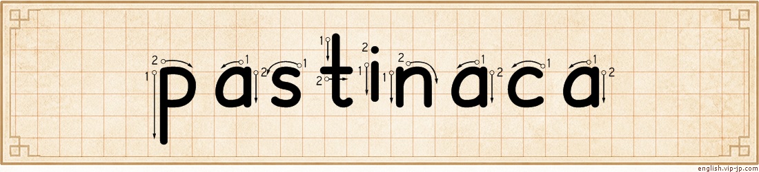 pastinaca lettering