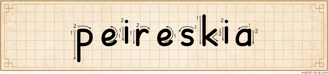 peireskia lettering