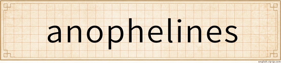 anophelines