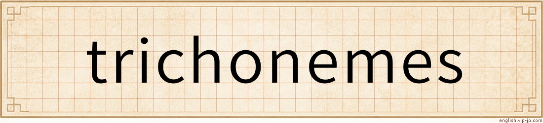 trichonemes