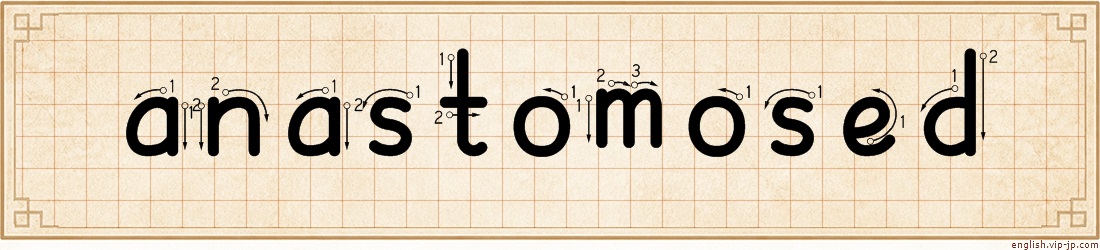 anastomosed lettering