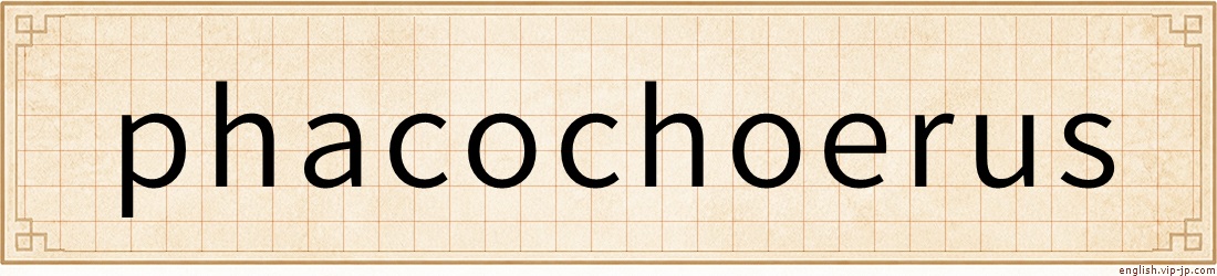 phacochoerus