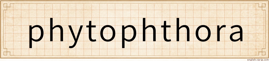 phytophthora
