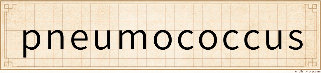 pneumococcus