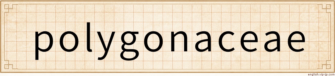 polygonaceae