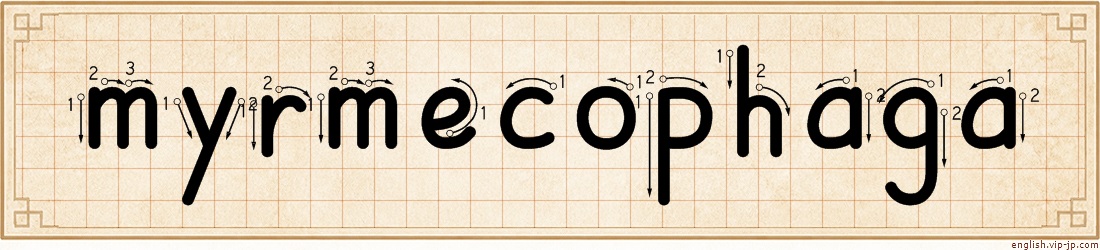 myrmecophaga lettering