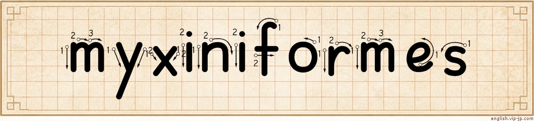 myxiniformes lettering