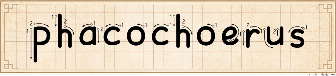 phacochoerus lettering