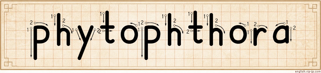 phytophthora lettering