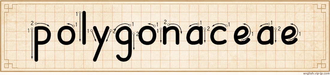 polygonaceae lettering