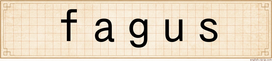 fagus