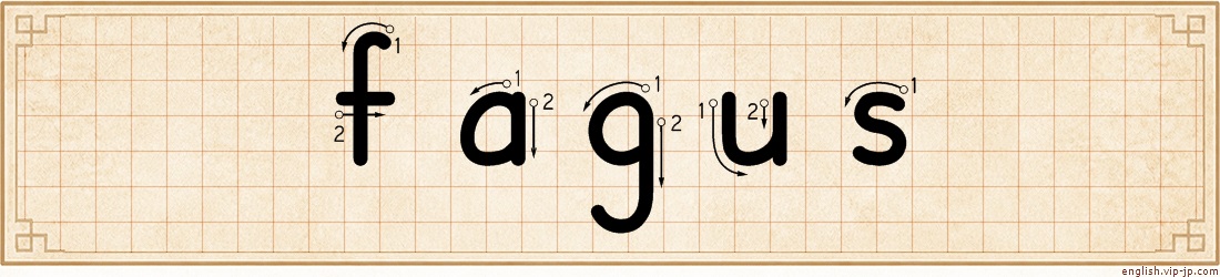 fagus lettering