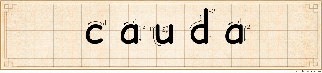 cauda lettering