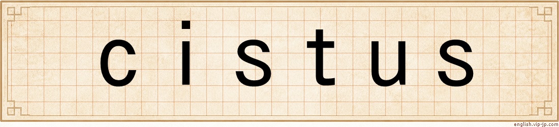 cistus