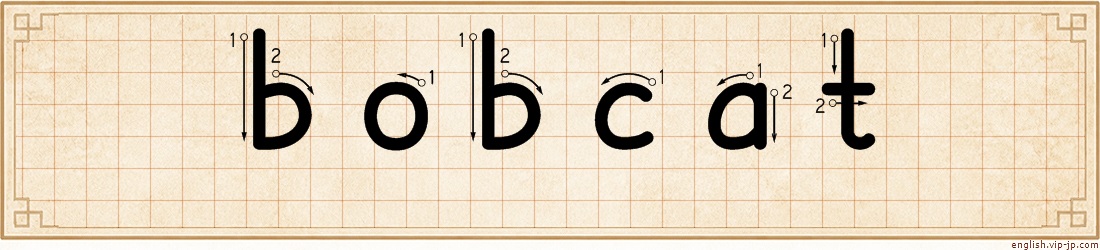 bobcat lettering