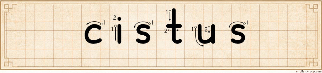 cistus lettering