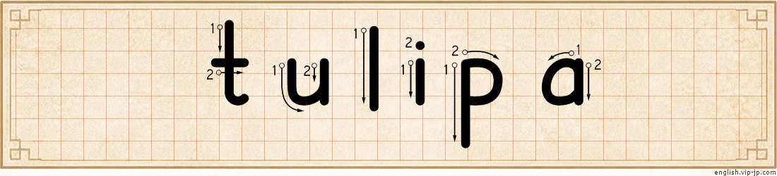 tulipa lettering