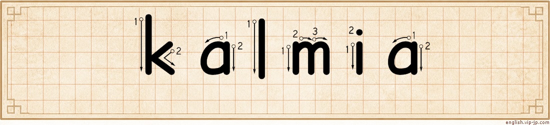 kalmia lettering