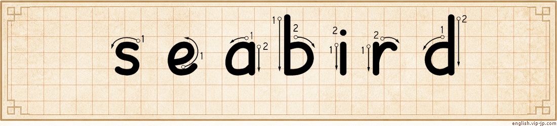seabird lettering