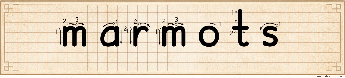 marmots lettering