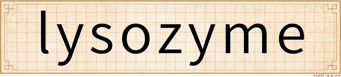 lysozyme