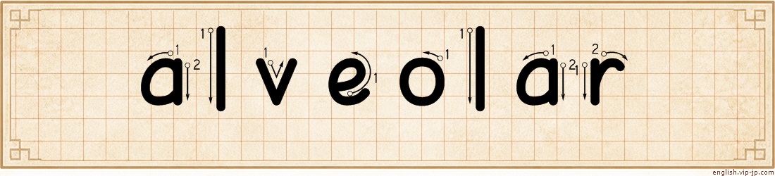 alveolar lettering