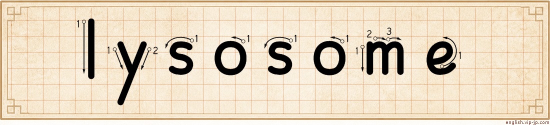 lysosome lettering